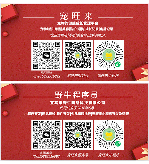 野牛程序员教少儿编程与信息学奥赛 野牛程序员教少儿编程与信息学竞赛-微信|电话:15892516892